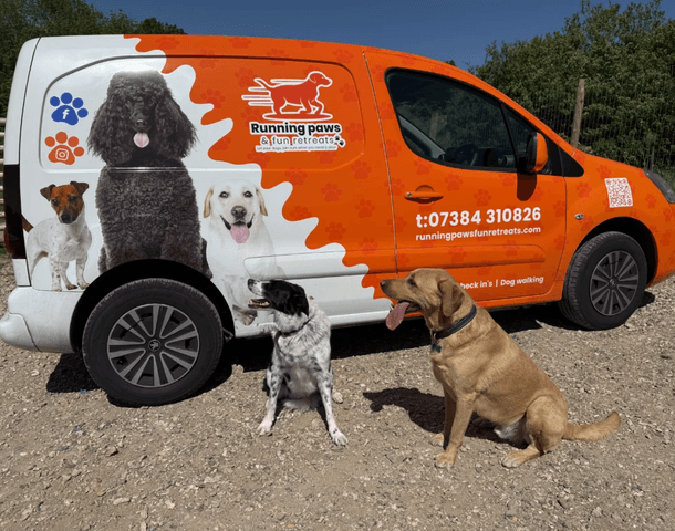two dogs sat in front of a van